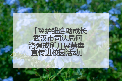 翼护雏鹰助成长 武汉市司法局何湾强戒所开展禁毒宣传进校园活动
