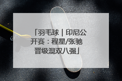 羽毛球｜印尼公开赛：程星/张驰晋级混双八强