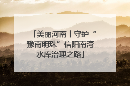 美丽河南丨守护“豫南明珠”信阳南湾水库治理之路