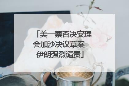 美一票否决安理会加沙决议草案 伊朗强烈谴责