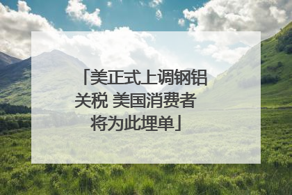 美正式上调钢铝关税 美国消费者将为此埋单