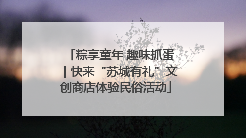 粽享童年 趣味抓蛋｜快来“苏城有礼”文创商店体验民俗活动