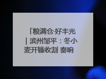 粮满仓·好丰光｜滨州邹平：冬小麦开镰收割 奏响夏日丰收曲