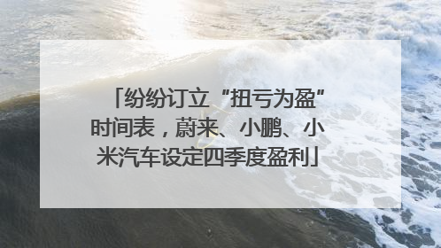 纷纷订立“扭亏为盈”时间表，蔚来、小鹏、小米汽车设定四季度盈利