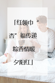 红领巾“杏”福传递 粽香情暖夕阳红