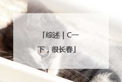 综述｜C一下，很长春