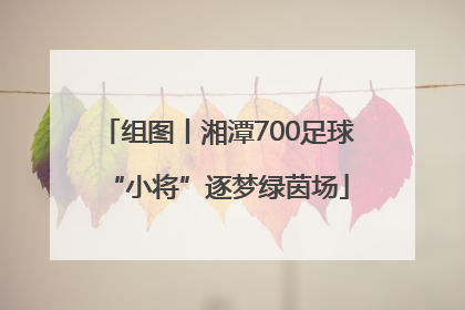 组图丨湘潭700足球“小将”逐梦绿茵场