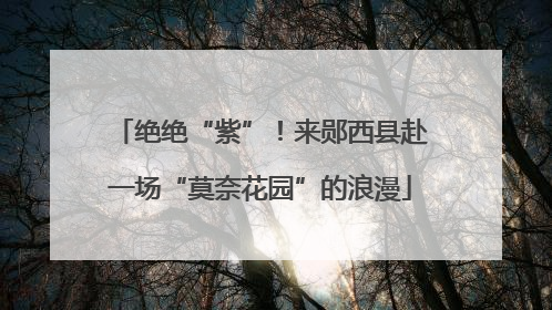 绝绝“紫”！来郧西县赴一场“莫奈花园”的浪漫