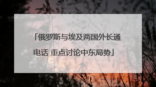 俄罗斯与埃及两国外长通电话 重点讨论中东局势