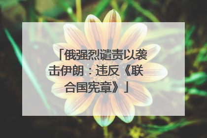 俄强烈谴责以袭击伊朗：违反《联合国宪章》