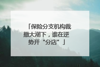 保险分支机构裁撤大潮下，谁在逆势开“分店”