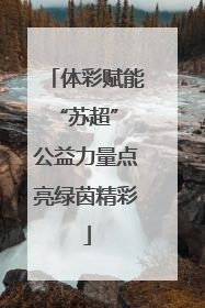 体彩赋能“苏超” 公益力量点亮绿茵精彩