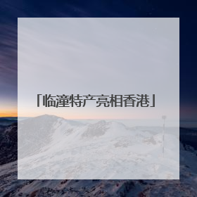 临潼特产亮相香港