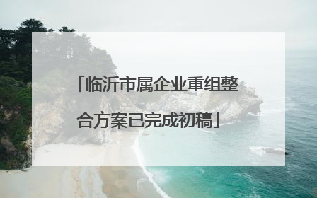 临沂市属企业重组整合方案已完成初稿