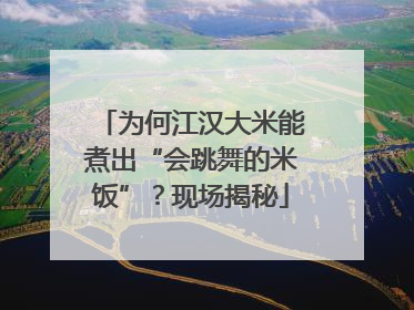 为何江汉大米能煮出“会跳舞的米饭”？现场揭秘