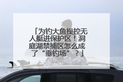 为钓大鱼操控无人艇进保护区！洞庭湖禁捕区怎么成了“垂钓场”？