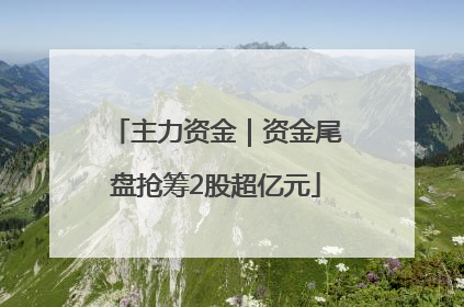 主力资金｜资金尾盘抢筹2股超亿元