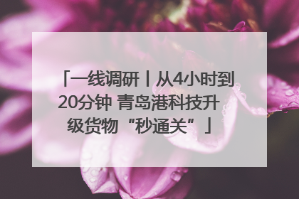 一线调研丨从4小时到20分钟 青岛港科技升级货物“秒通关”