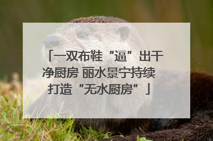 一双布鞋“逼”出干净厨房 丽水景宁持续打造“无水厨房”