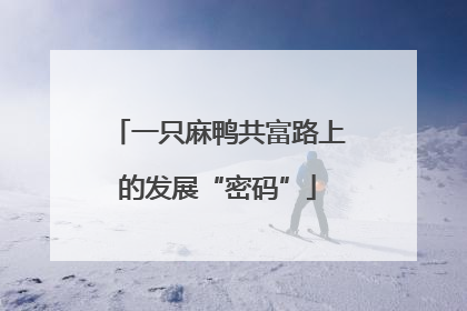 一只麻鸭共富路上的发展“密码”