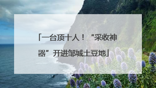 一台顶十人！“采收神器”开进邹城土豆地