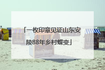 一枚印章见证山东安陵88年乡村蝶变