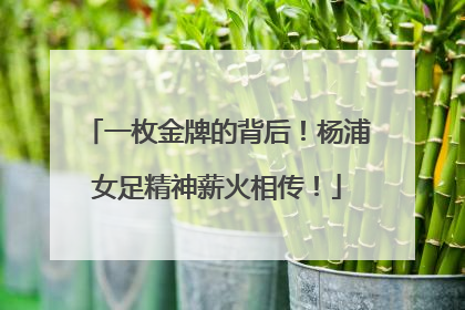 一枚金牌的背后！杨浦女足精神薪火相传！