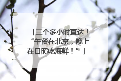 三个多小时直达！“午餐在北京，晚上在日照吃海鲜！”