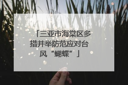 三亚市海棠区多措并举防范应对台风“蝴蝶”