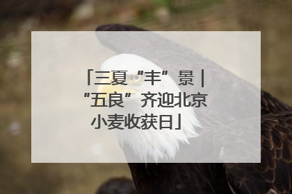 三夏“丰”景｜“五良”齐迎北京小麦收获日
