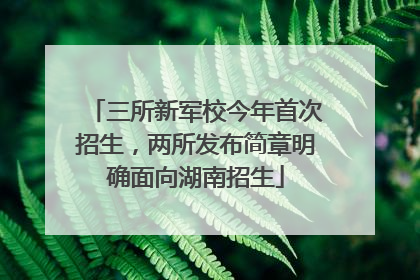 三所新军校今年首次招生，两所发布简章明确面向湖南招生