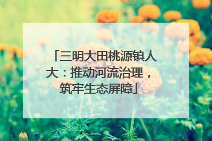 三明大田桃源镇人大：推动河流治理，筑牢生态屏障