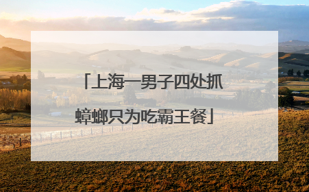 上海一男子四处抓蟑螂只为吃霸王餐