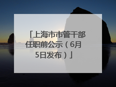 上海市市管干部任职前公示（6月5日发布）