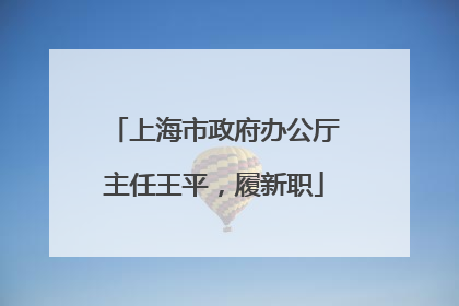 上海市政府办公厅主任王平，履新职