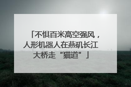 不惧百米高空强风，人形机器人在燕矶长江大桥走“猫道”