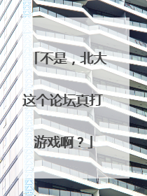 不是，北大这个论坛真打游戏啊？