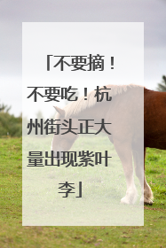 不要摘！不要吃！杭州街头正大量出现紫叶李