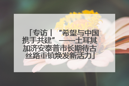专访丨“希望与中国携手共建”——土耳其加济安泰普市长期待古丝路重镇焕发新活力