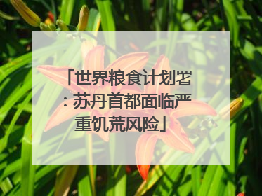 世界粮食计划署：苏丹首都面临严重饥荒风险