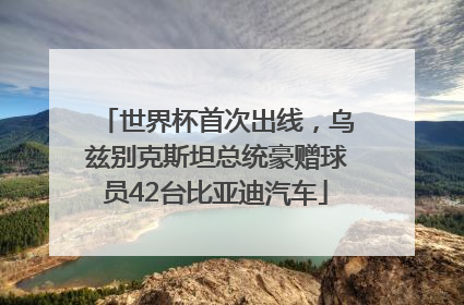 世界杯首次出线，乌兹别克斯坦总统豪赠球员42台比亚迪汽车
