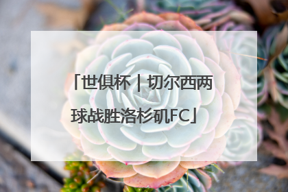 世俱杯｜切尔西两球战胜洛杉矶FC