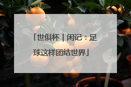世俱杯｜闲记：足球这样团结世界