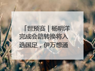 世预赛｜杨明洋完成会籍转换将入选国足，伊万想通了要打双后腰？