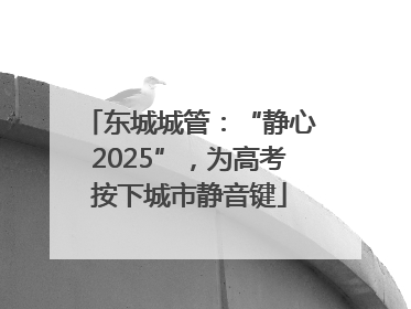 东城城管：“静心2025”，为高考按下城市静音键