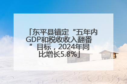 东平县锚定“五年内GDP和税收收入翻番”目标，2024年同比增长5.8%