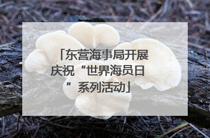 东营海事局开展庆祝“世界海员日”系列活动