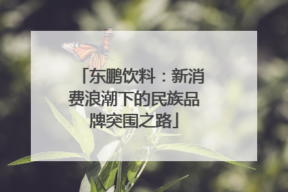 东鹏饮料：新消费浪潮下的民族品牌突围之路