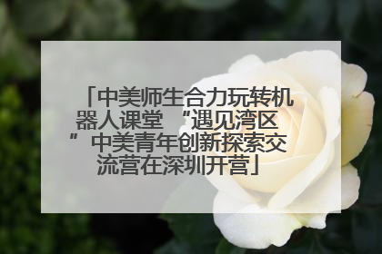 中美师生合力玩转机器人课堂 “遇见湾区”中美青年创新探索交流营在深圳开营