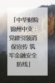 中华财险锦州中支：党建引领消保宣传 筑牢金融安全防线